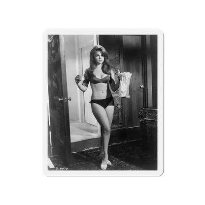 Ann-Margret #277 (Vintage Female Icon) Refrigerator Magnet 4 Inch Die-Cut - The Sticker Space