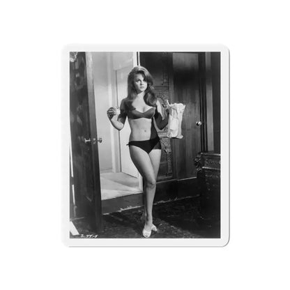 Ann-Margret #277 (Vintage Female Icon) Refrigerator Magnet 6 Inch Die-Cut - The Sticker Space