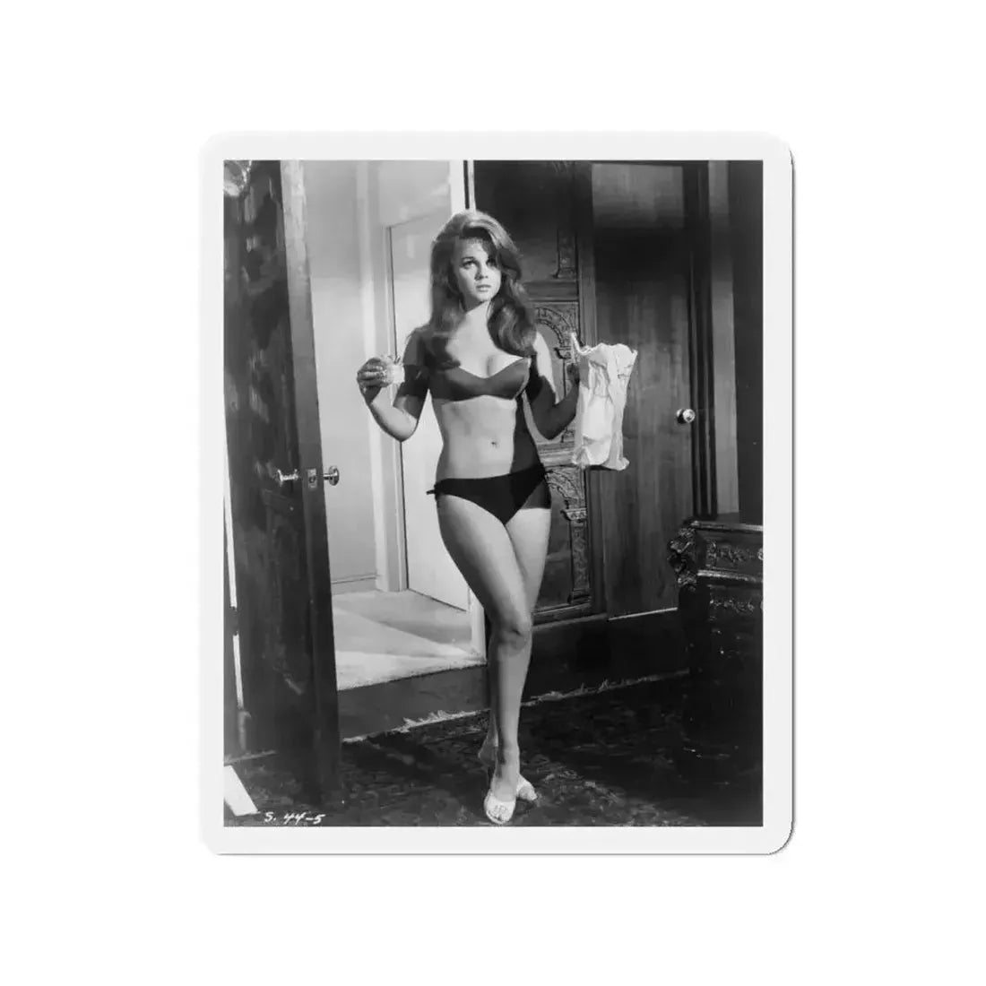 Ann-Margret #277 (Vintage Female Icon) Refrigerator Magnet - The Sticker Space