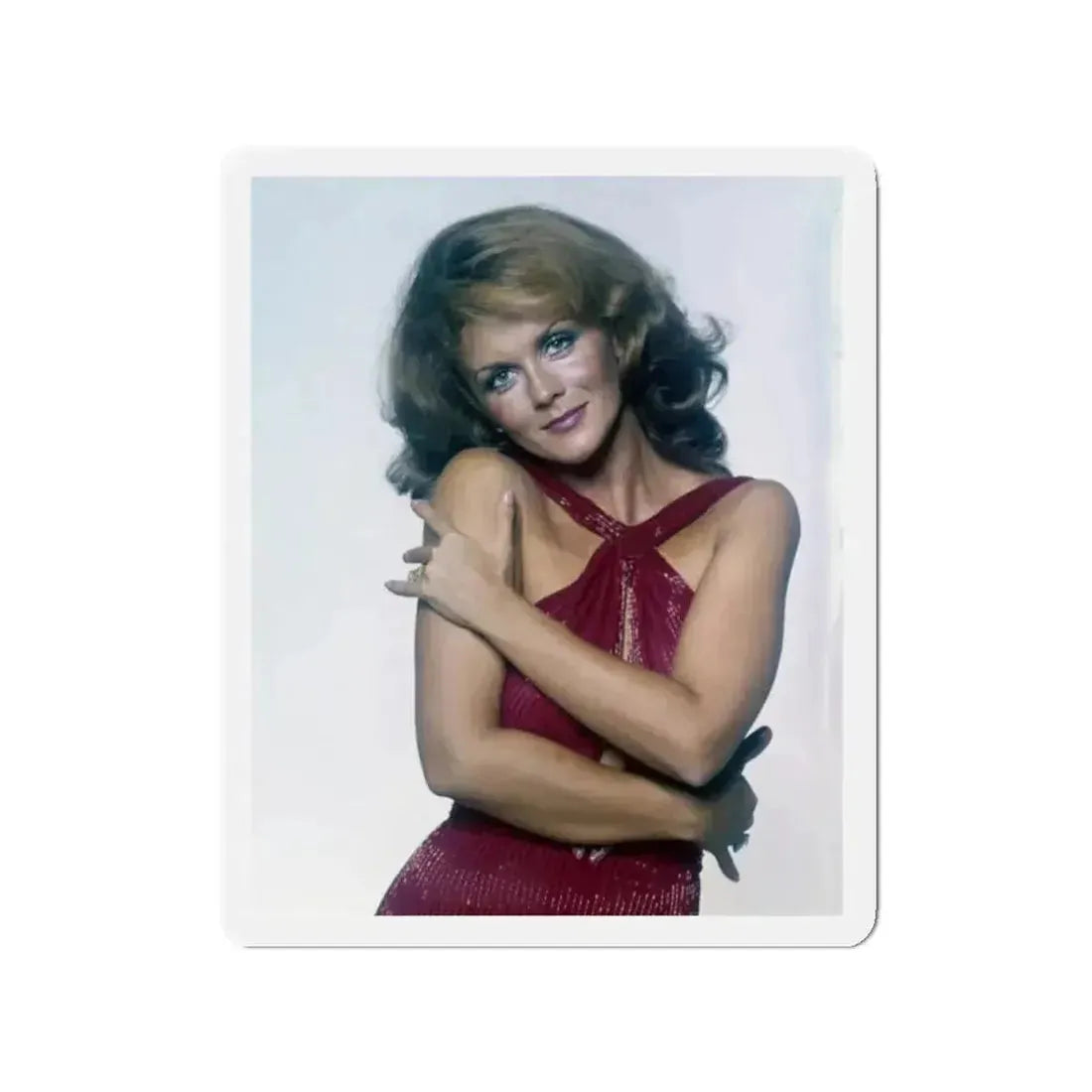 Ann-Margret #278 (Vintage Female Icon) Refrigerator Magnet - The Sticker Space