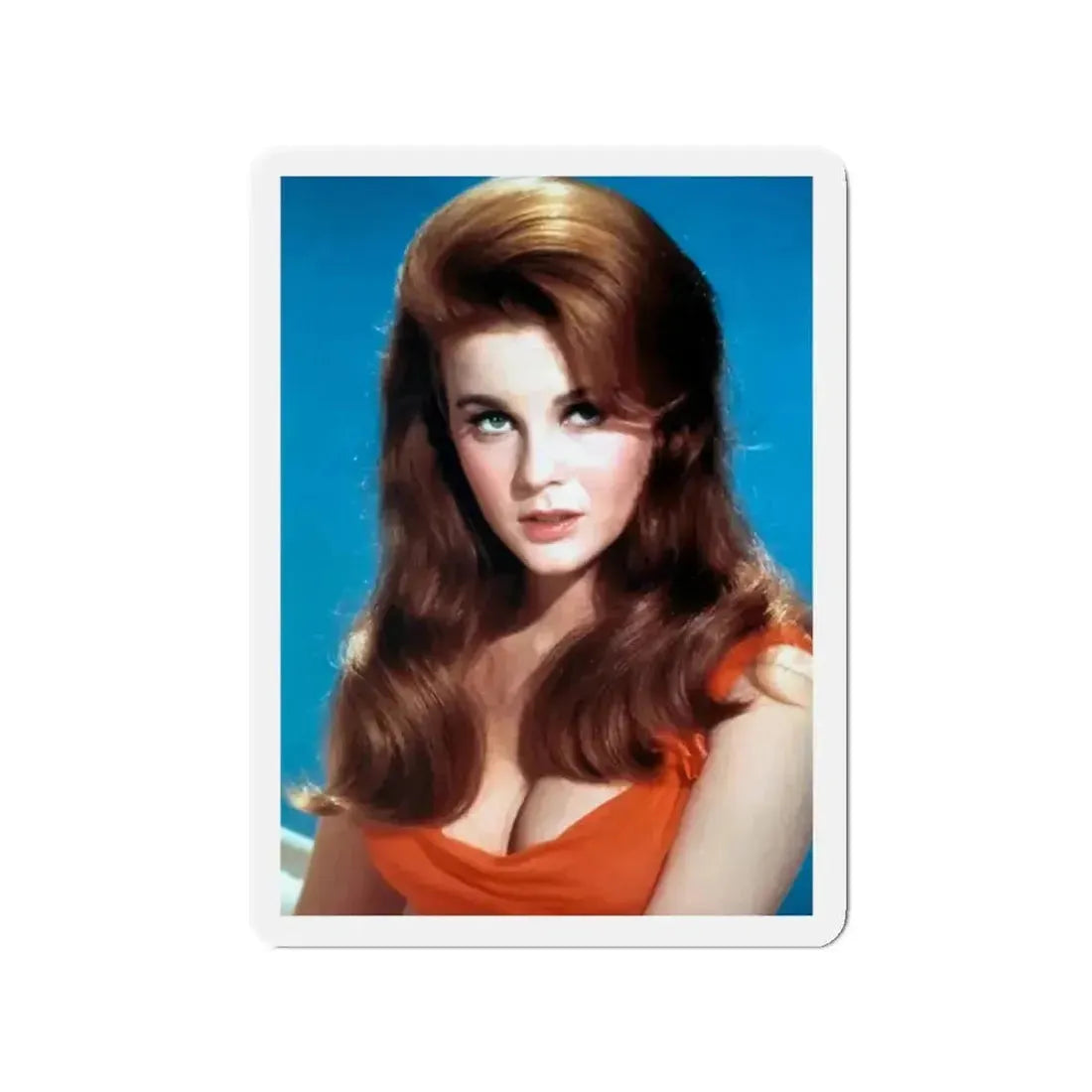 Ann-Margret #66 (Vintage Female Icon) Refrigerator Magnet - The Sticker Space