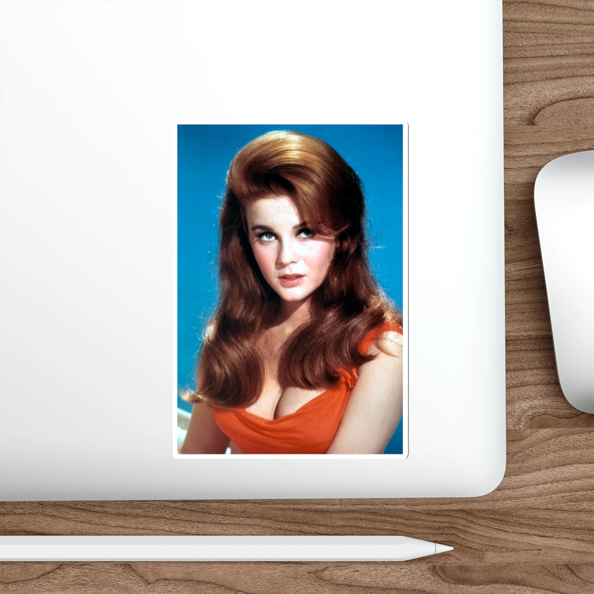 Ann-Margret #66 (Vintage Female Icon) STICKER Vinyl Die-Cut Decal-The Sticker Space