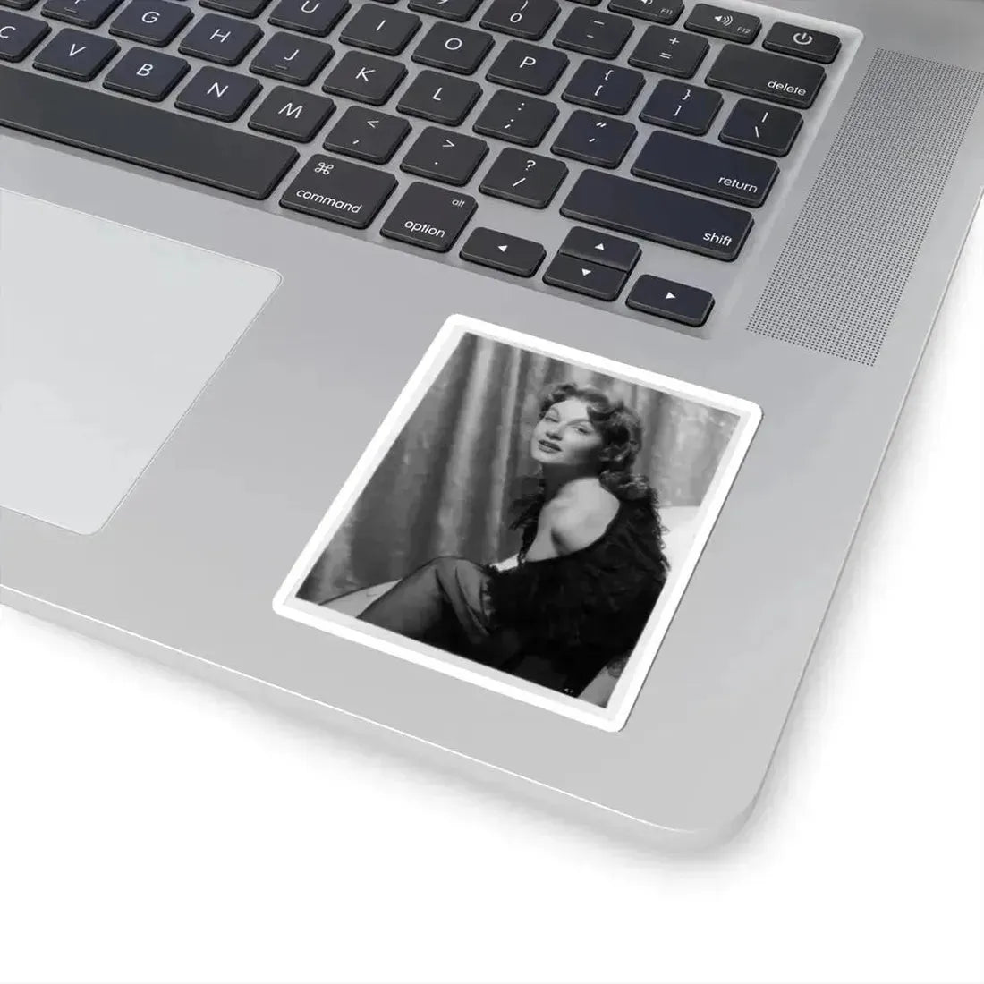 Ann Robinson #10 (Vintage Female Icon) STICKER Vinyl Kiss-Cut Decal - The Sticker Space