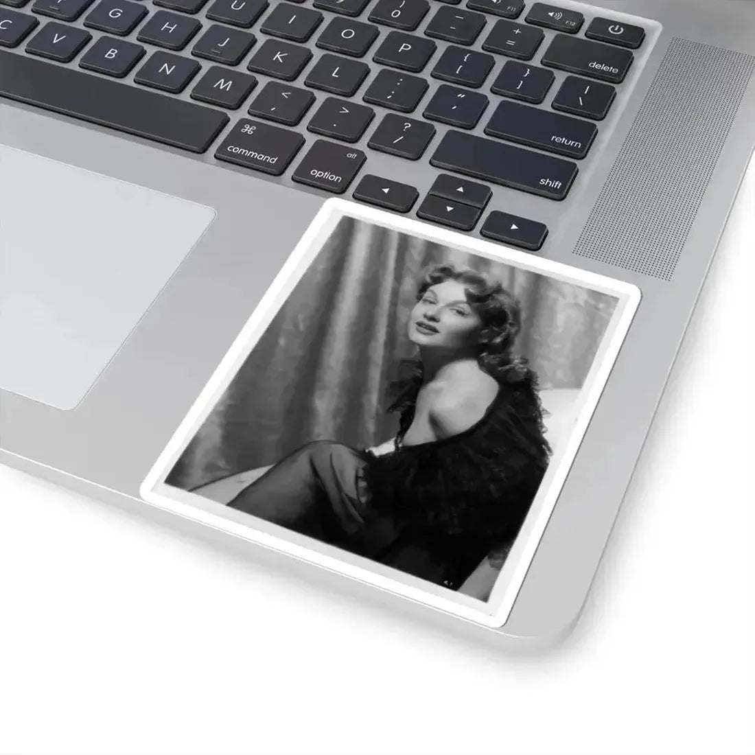 Ann Robinson #10 (Vintage Female Icon) STICKER Vinyl Kiss-Cut Decal - The Sticker Space