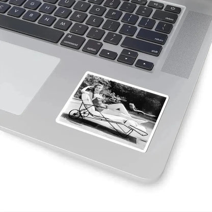 Ann Robinson #13 (Vintage Female Icon) STICKER Vinyl Kiss-Cut Decal - The Sticker Space