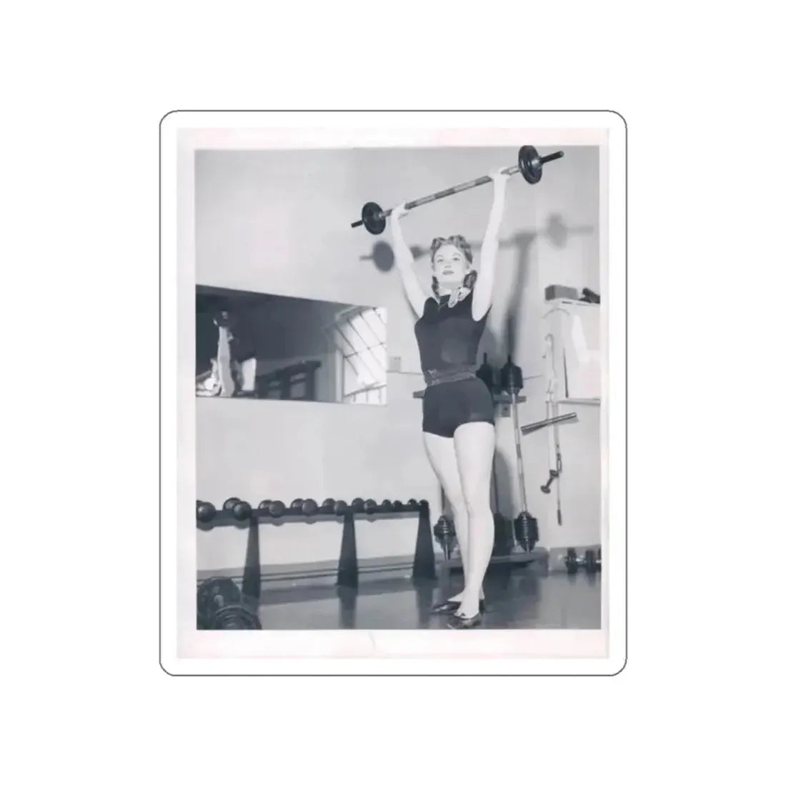 Ann Robinson #16 (Vintage Female Icon) STICKER Vinyl Die-Cut Decal - The Sticker Space