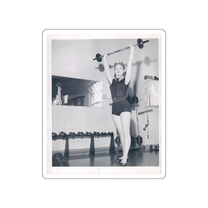 Ann Robinson #16 (Vintage Female Icon) STICKER Vinyl Die-Cut Decal - The Sticker Space