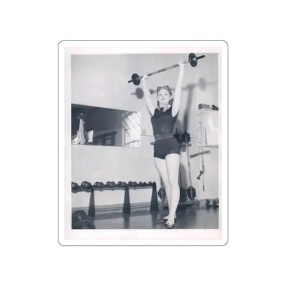 Ann Robinson #16 (Vintage Female Icon) STICKER Vinyl Die-Cut Decal White Die-Cut 2 Inch - The Sticker Space