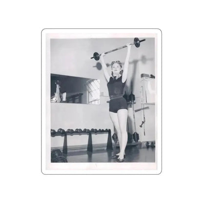 Ann Robinson #16 (Vintage Female Icon) STICKER Vinyl Die-Cut Decal White Die-Cut 3 Inch - The Sticker Space