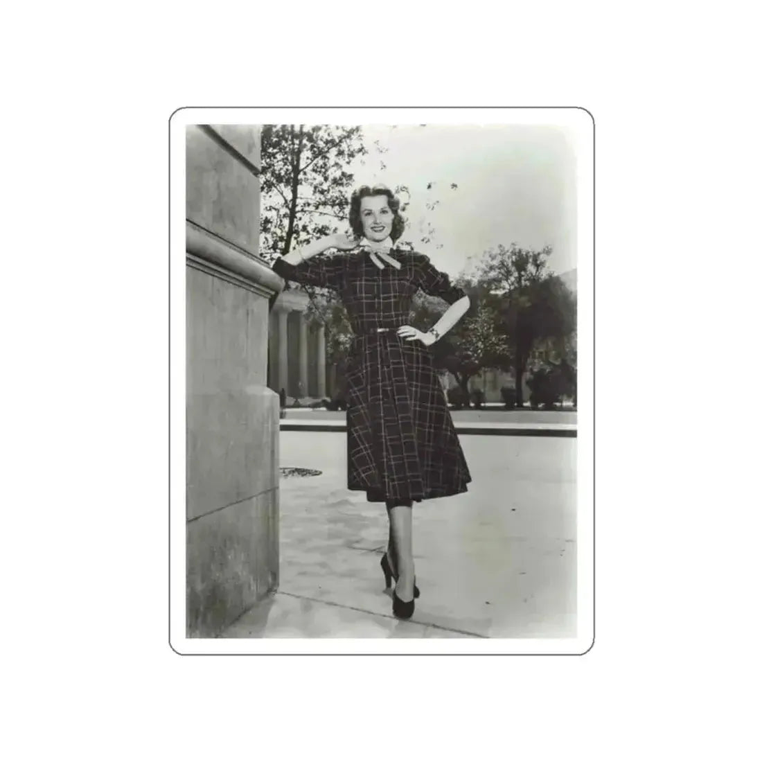 Ann Robinson #29 (Vintage Female Icon) STICKER Vinyl Die-Cut Decal White Die-Cut 2 Inch - The Sticker Space