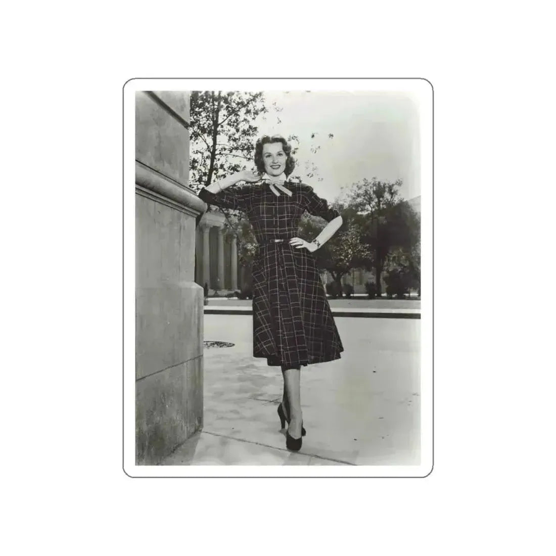 Ann Robinson #29 (Vintage Female Icon) STICKER Vinyl Die-Cut Decal White Die-Cut 6 Inch - The Sticker Space