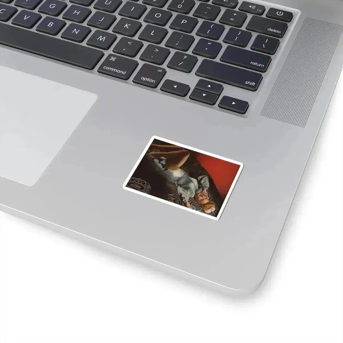 Ann Savage #17 (Vintage Female Icon) STICKER Vinyl Kiss-Cut Decal - The Sticker Space