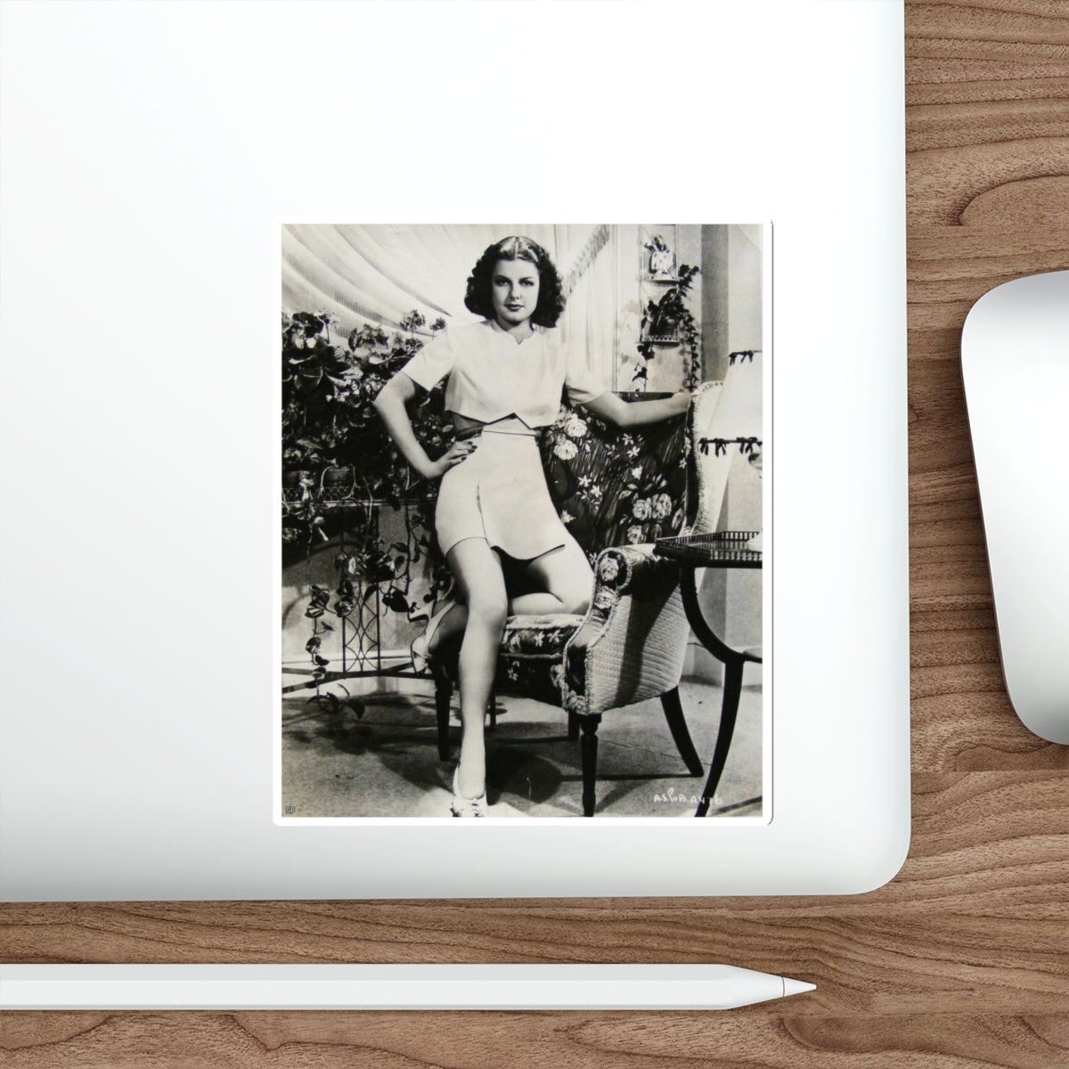 Ann Sheridan #189 (Vintage Female Icon) STICKER Vinyl Die-Cut Decal-The Sticker Space