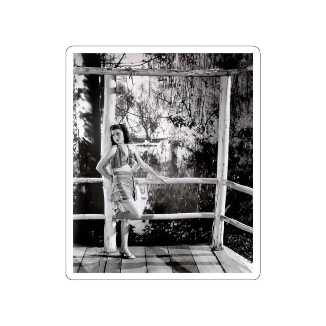 Ann Sheridan #20 (Vintage Female Icon) STICKER Vinyl Die-Cut Decal - The Sticker Space