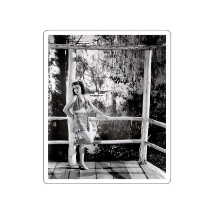 Ann Sheridan #20 (Vintage Female Icon) STICKER Vinyl Die-Cut Decal White Die-Cut 5 Inch - The Sticker Space