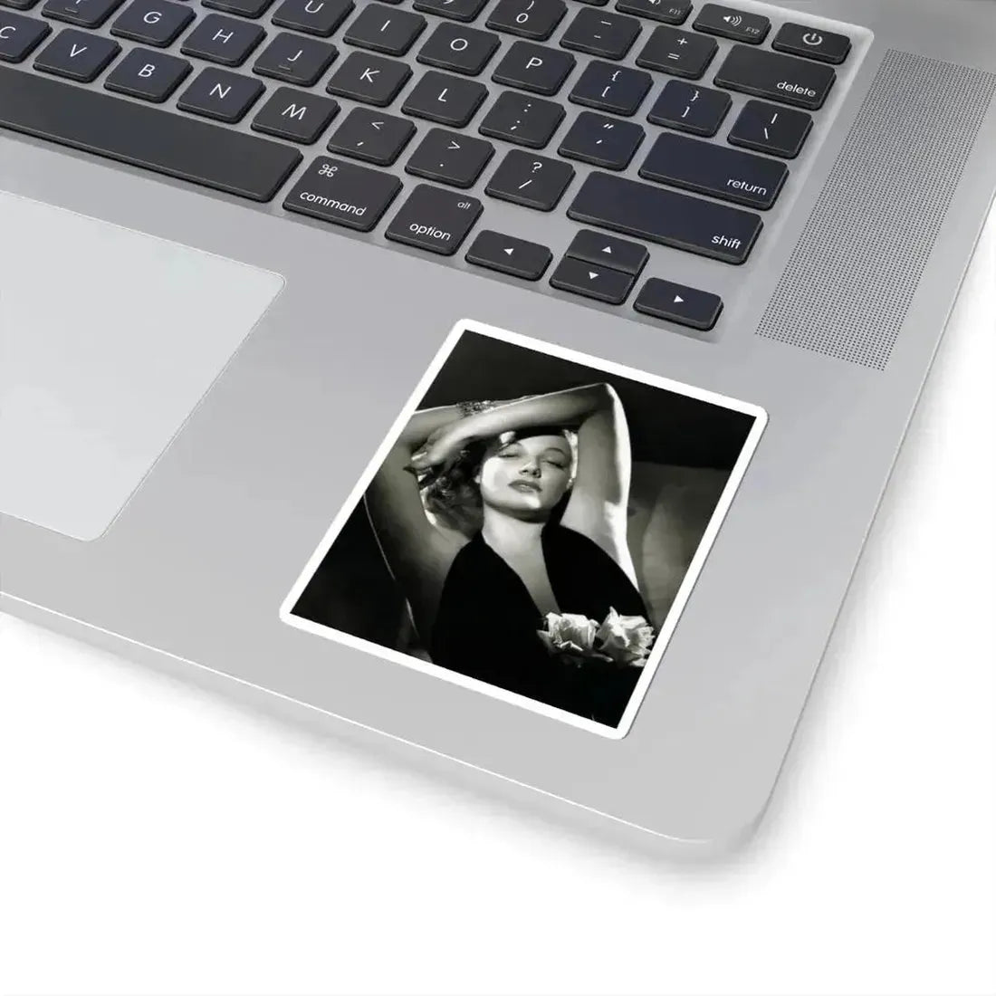 Ann Sheridan #218 (Vintage Female Icon) STICKER Vinyl Kiss-Cut Decal - The Sticker Space