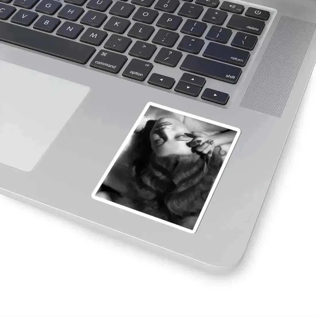 Ann Sheridan #221 (Vintage Female Icon) STICKER Vinyl Kiss-Cut Decal - The Sticker Space