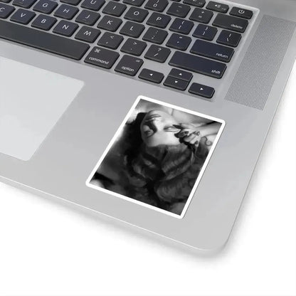Ann Sheridan #221 (Vintage Female Icon) STICKER Vinyl Kiss-Cut Decal - The Sticker Space
