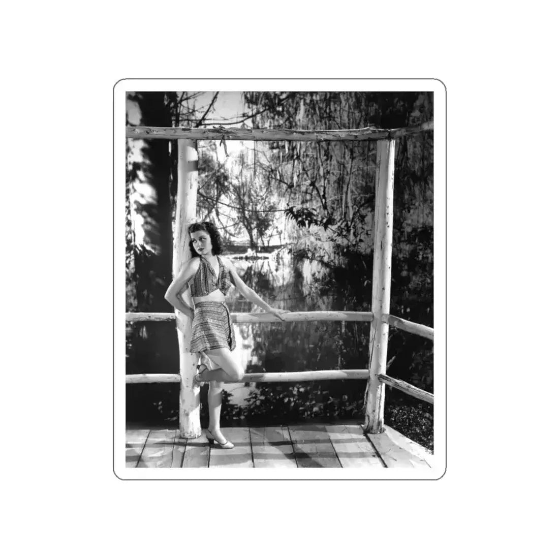 Ann Sheridan #261 (Vintage Female Icon) STICKER Vinyl Die-Cut Decal - The Sticker Space