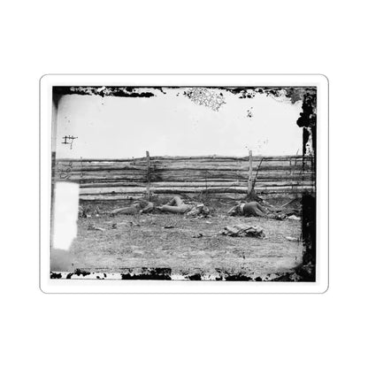 Antietam, Maryland. Bodies of Confederate Soldiers by Fence on Hagerstown Pike (U.S. Civil War) STICKER Vinyl Kiss-Cut Decal 3 Inch White - The Sticker Space