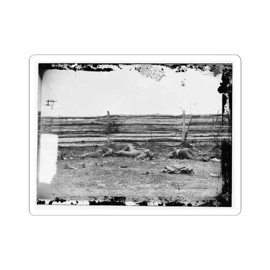Antietam, Maryland. Bodies of Confederate Soldiers by Fence on Hagerstown Pike (U.S. Civil War) STICKER Vinyl Kiss-Cut Decal 6 Inch White - The Sticker Space