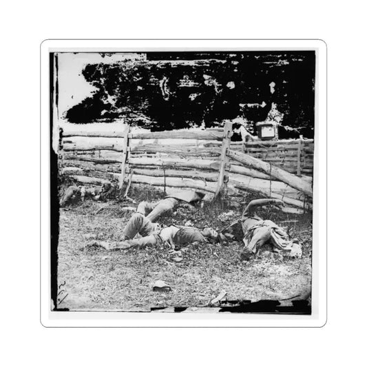 Antietam, Maryland. Bodies of Dead, Louisiana Regiment (U.S. Civil War) STICKER Vinyl Kiss-Cut Decal 2 Inch White - The Sticker Space