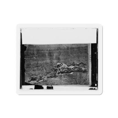 Antietam, Maryland. Dead On Battlefield (U.S. Civil War) Refrigerator Magnet 2 Inch Die-Cut - The Sticker Space
