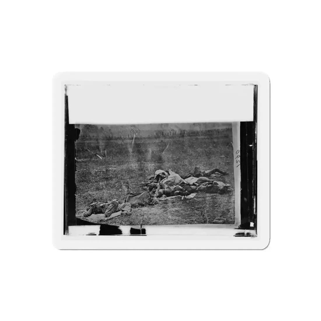 Antietam, Maryland. Dead On Battlefield (U.S. Civil War) Refrigerator Magnet 5 Inch Die-Cut - The Sticker Space