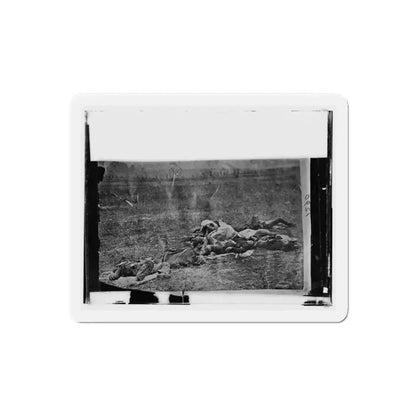 Antietam, Maryland. Dead On Battlefield (U.S. Civil War) Refrigerator Magnet - The Sticker Space