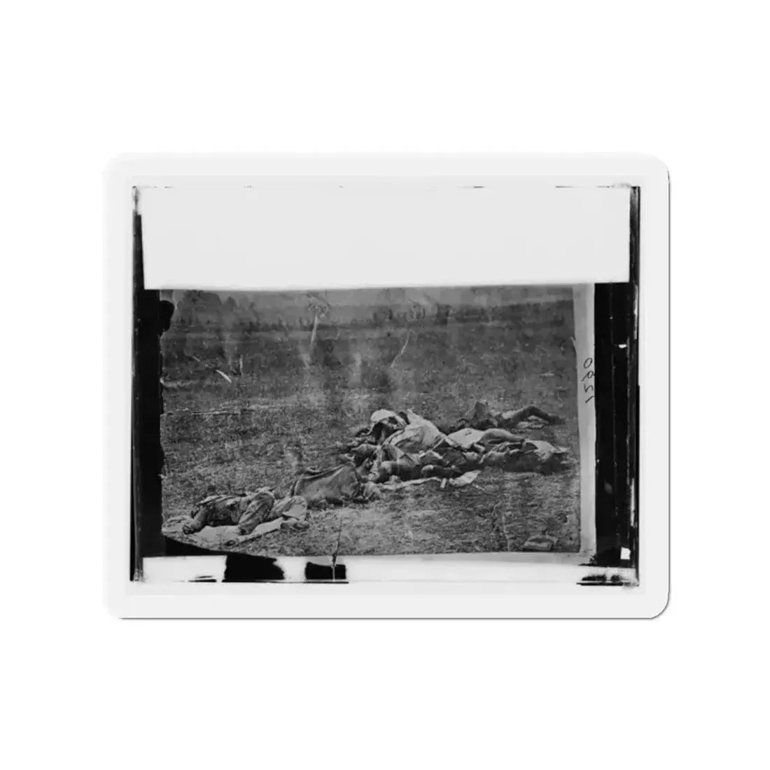 Antietam, Maryland. Dead On Battlefield (U.S. Civil War) Refrigerator Magnet - The Sticker Space