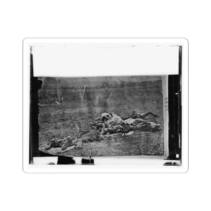 Antietam, Maryland. Dead on Battlefield (U.S. Civil War) STICKER Vinyl Kiss-Cut Decal 2 Inch White - The Sticker Space