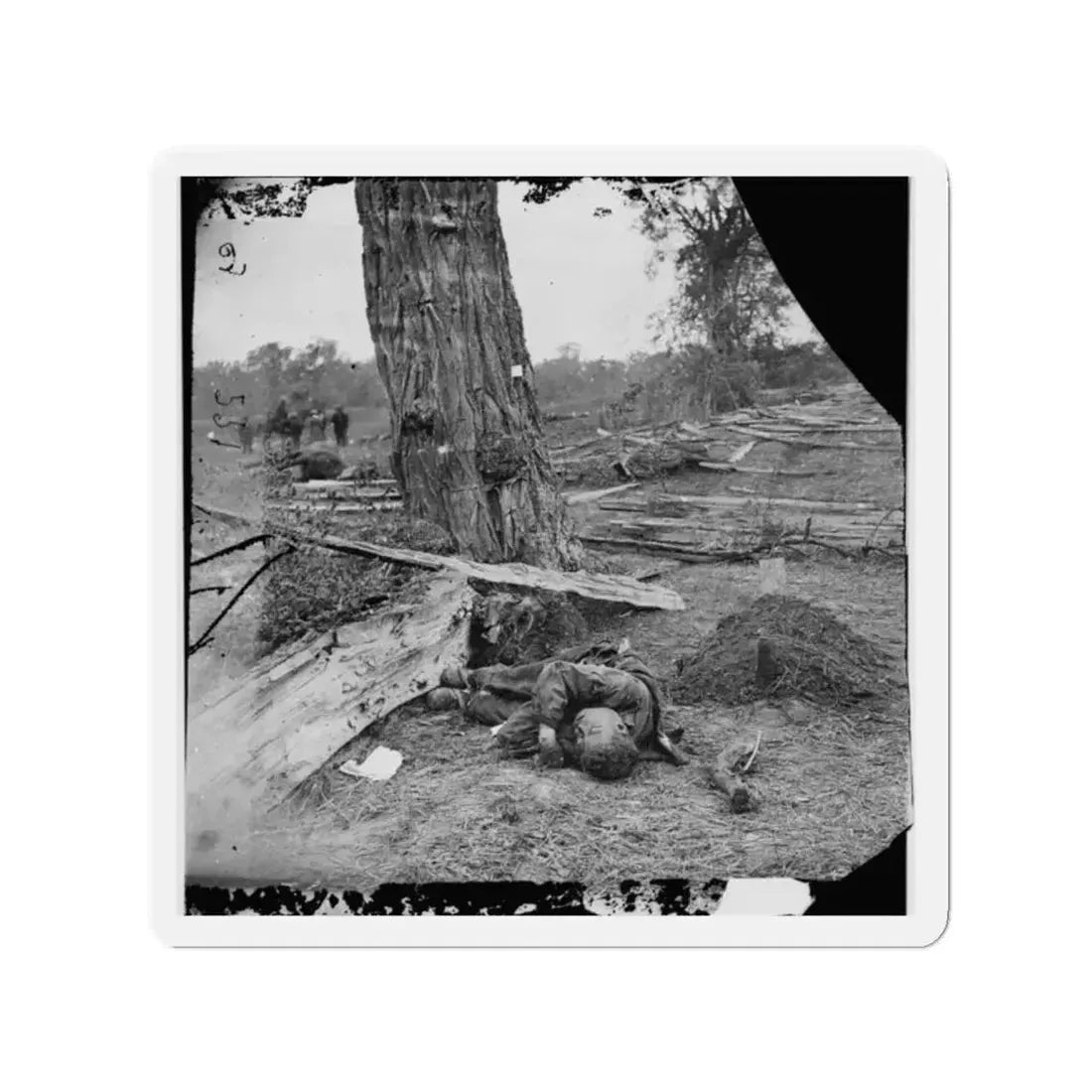 Antietam, Maryland. Federal Buried, Confederate Unburied, Where They Fell (U.S. Civil War) Refrigerator Magnet 2 Inch Die-Cut - The Sticker Space