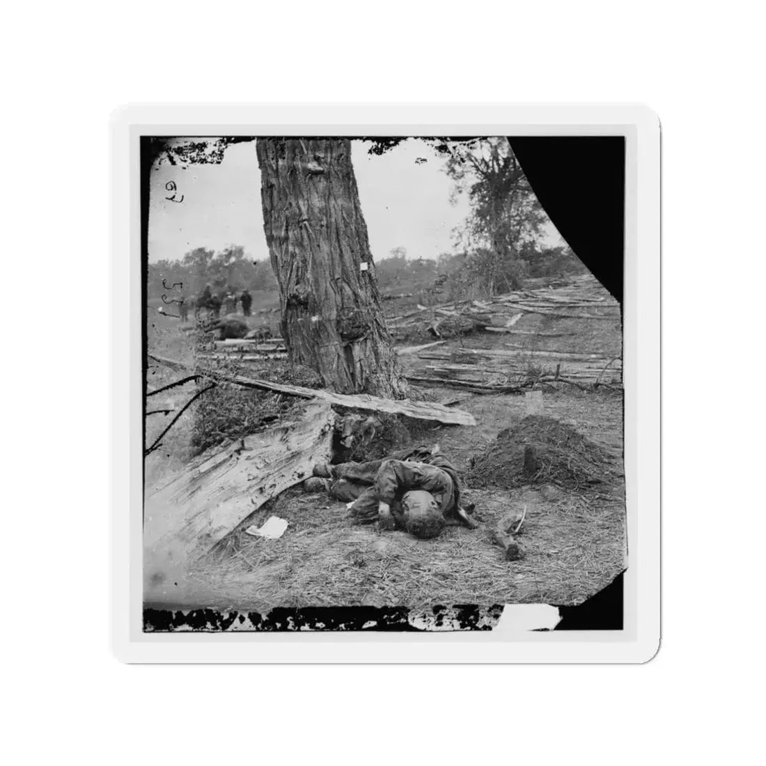 Antietam, Maryland. Federal Buried, Confederate Unburied, Where They Fell (U.S. Civil War) Refrigerator Magnet 3 Inch Die-Cut - The Sticker Space
