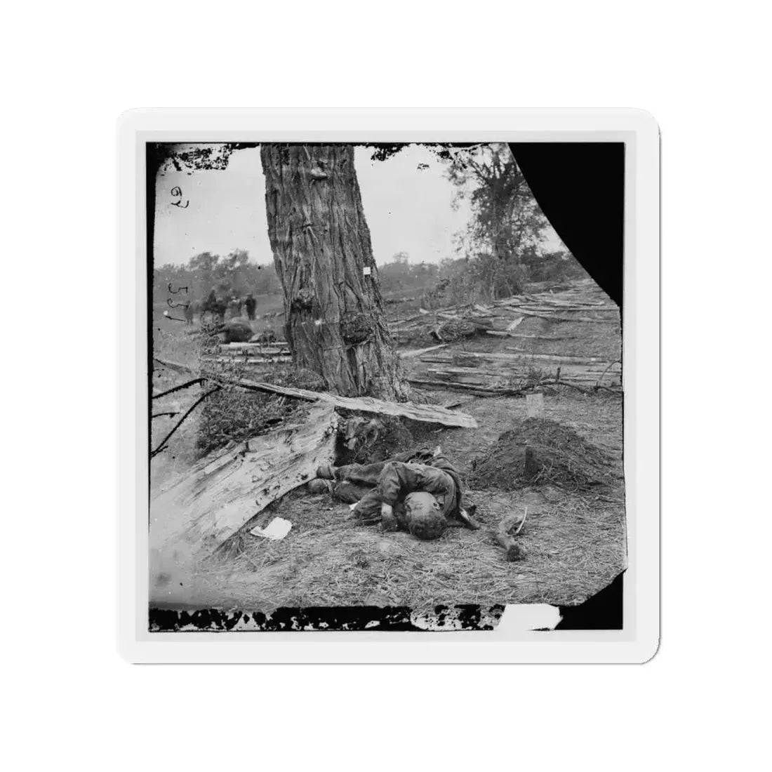 Antietam, Maryland. Federal Buried, Confederate Unburied, Where They Fell (U.S. Civil War) Refrigerator Magnet 4 Inch Die-Cut - The Sticker Space