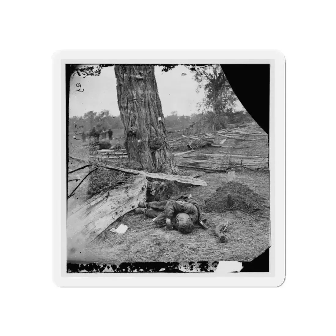 Antietam, Maryland. Federal Buried, Confederate Unburied, Where They Fell (U.S. Civil War) Refrigerator Magnet 5 Inch Die-Cut - The Sticker Space