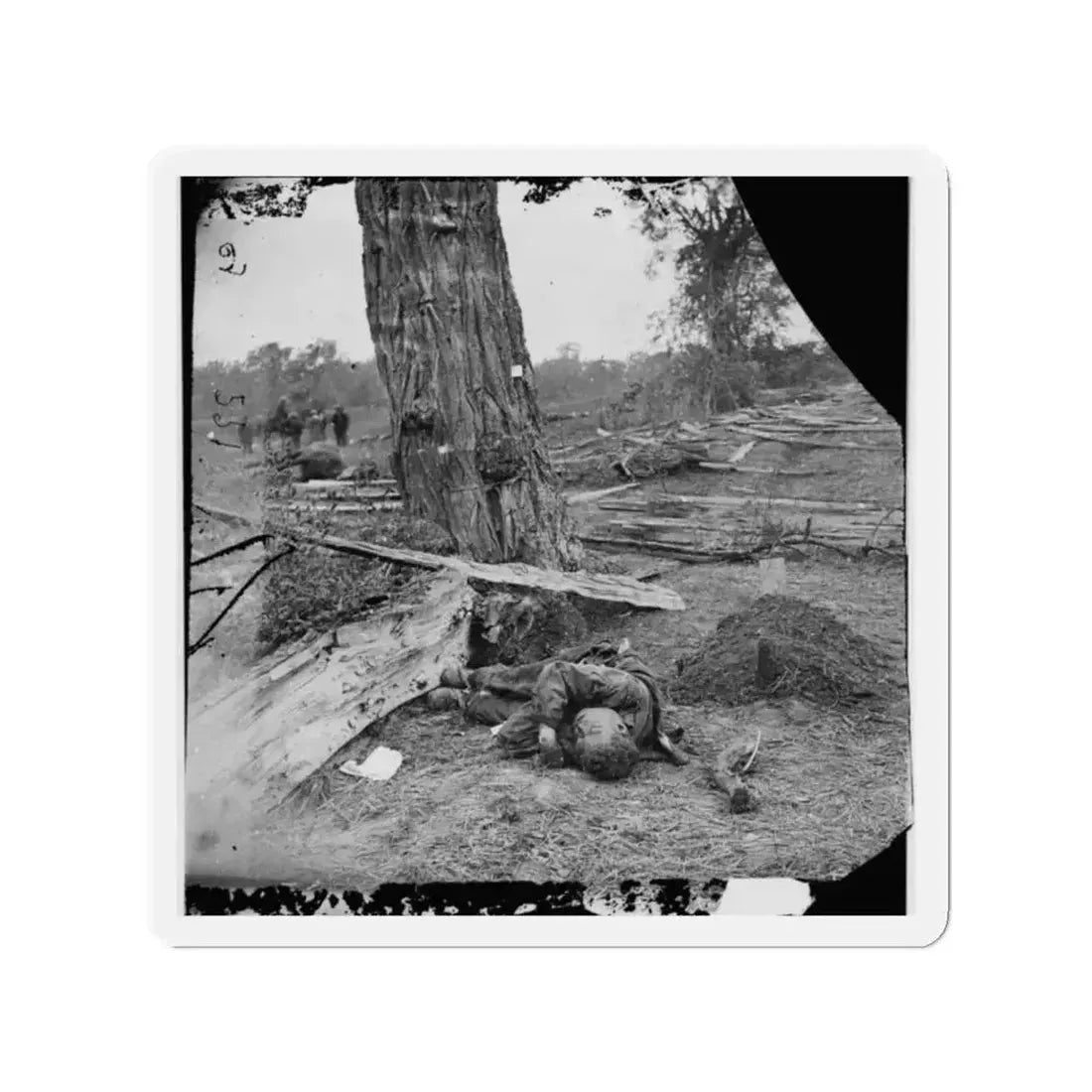 Antietam, Maryland. Federal Buried, Confederate Unburied, Where They Fell (U.S. Civil War) Refrigerator Magnet - The Sticker Space