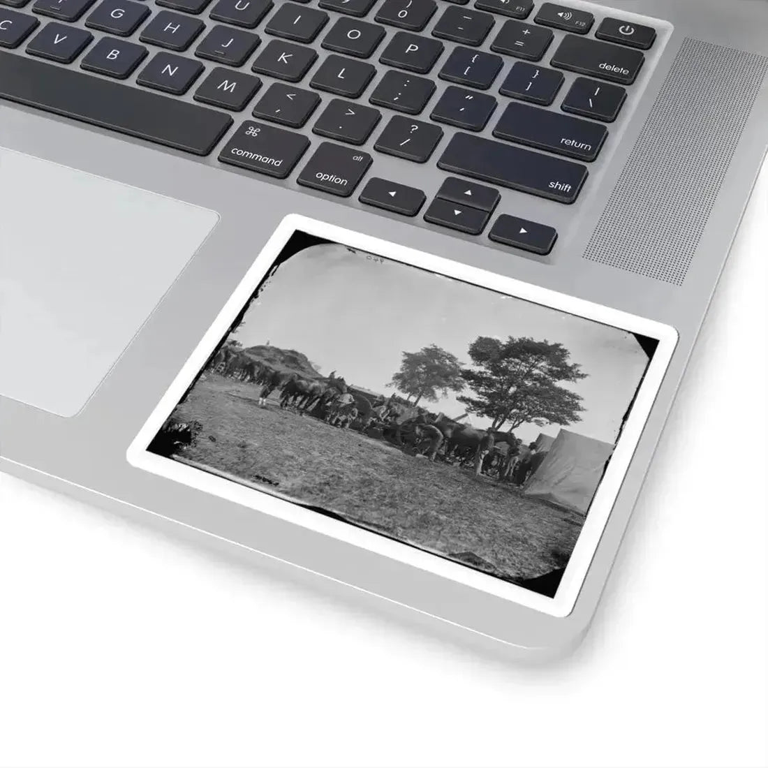 Antietam, Md. Blacksmith Shoeing Horses at Headquarters, Army of the Potomac (U.S. Civil War) STICKER Vinyl Kiss-Cut Decal - The Sticker Space