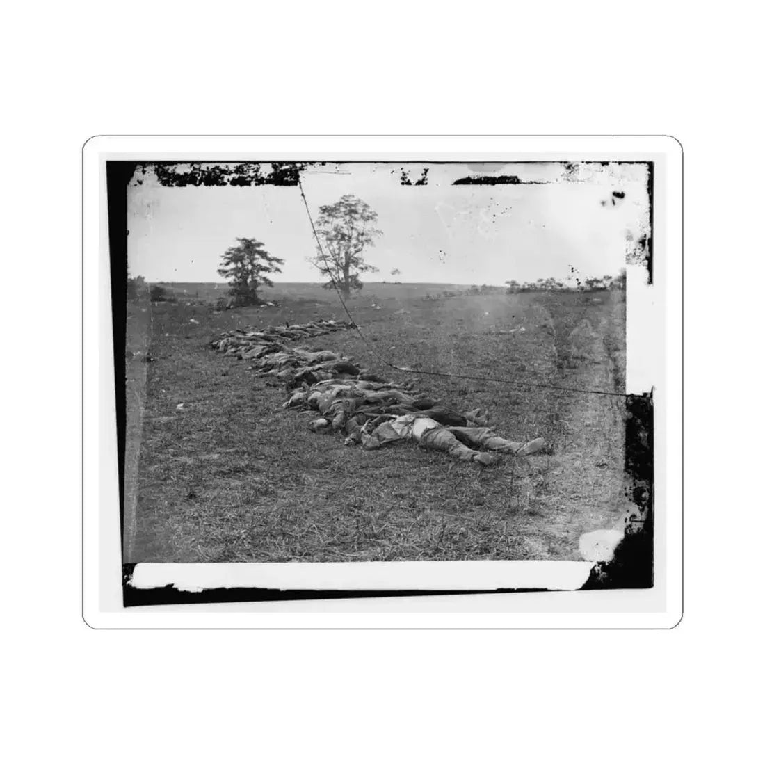 Antietam, Md. Bodies of Confederate Dead Gathered for Burial (U.S. Civil War) STICKER Vinyl Kiss-Cut Decal 3 Inch White - The Sticker Space