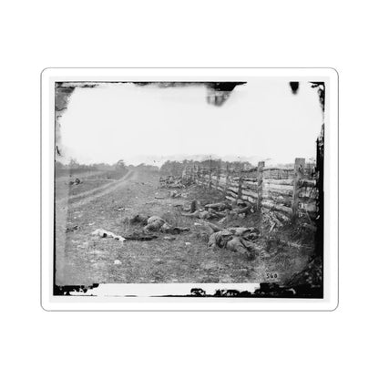Antietam, Md. Confederate Dead by a Fence on the Hagerstown Road (U.S. Civil War) STICKER Vinyl Kiss-Cut Decal 3 Inch White - The Sticker Space