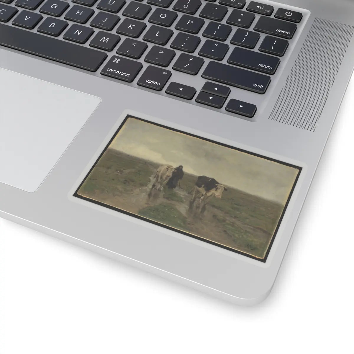 SKU:TSS-STICK-NTNMV-4X4-1N0FX Sizes:4" × 4" Types:Transparent