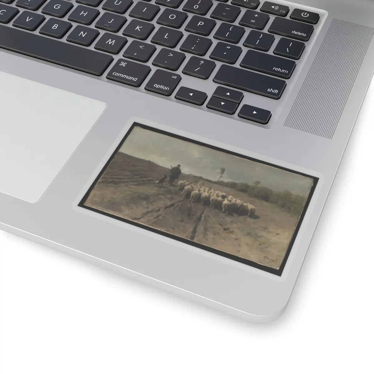 SKU:TSS-STICK-NTNMV-4X4-1N0FZ Sizes:4" × 4" Types:Transparent