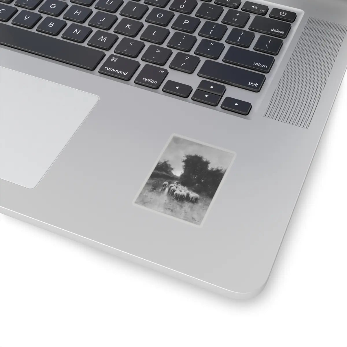 SKU:TSS-STICK-NTNMV-2X2-1N0G0 Sizes:2" × 2" Types:Transparent