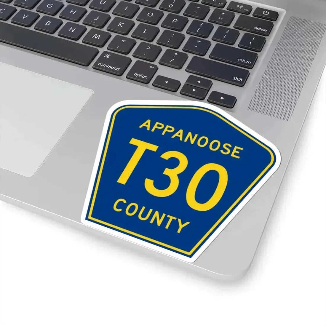 Appanoose County Route T30 IA (Iowa) (Road Sign) STICKER Vinyl Kiss-Cut Decal - The Sticker Space