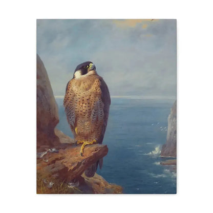 Archibald Thorburn (1860-1935) A Peregrine Falcon Perched on a Sea Cliff - Watercolour with bodycolour o - Canvas Wall Art 16″ x 20″ 1.25" - The Sticker Space