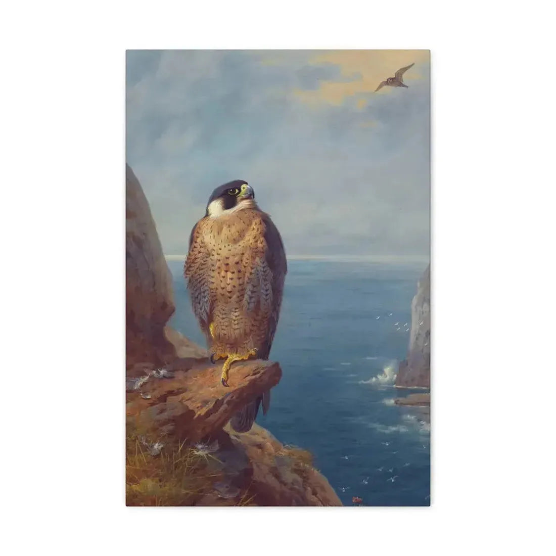 Archibald Thorburn (1860-1935) A Peregrine Falcon Perched on a Sea Cliff - Watercolour with bodycolour o - Canvas Wall Art 16″ x 24″ 1.25" - The Sticker Space