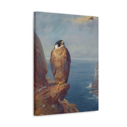 Archibald Thorburn (1860-1935) A Peregrine Falcon Perched on a Sea Cliff - Watercolour with bodycolour o - Canvas Wall Art-The Sticker Space