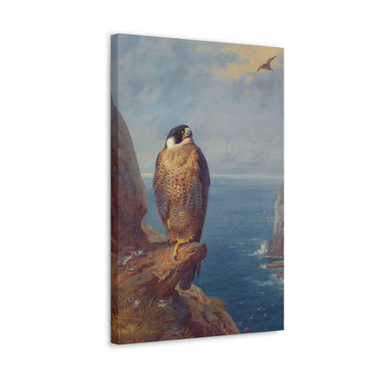 Archibald Thorburn (1860-1935) A Peregrine Falcon Perched on a Sea Cliff - Watercolour with bodycolour o - Canvas Wall Art-The Sticker Space