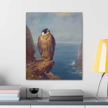 Archibald Thorburn (1860-1935) A Peregrine Falcon Perched on a Sea Cliff - Watercolour with bodycolour o - Canvas Wall Art-The Sticker Space