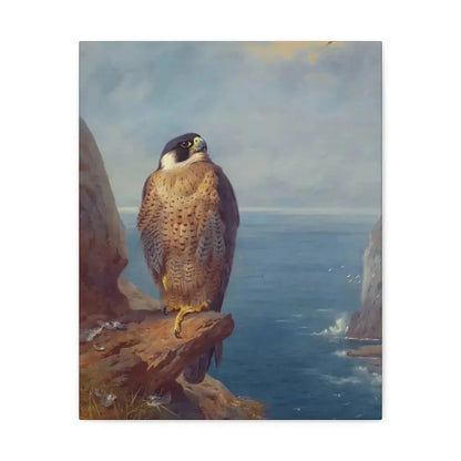 Archibald Thorburn (1860-1935) A Peregrine Falcon Perched on a Sea Cliff - Watercolour with bodycolour o - Canvas Wall Art - The Sticker Space