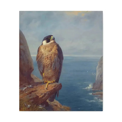 Archibald Thorburn (1860-1935) A Peregrine Falcon Perched on a Sea Cliff - Watercolour with bodycolour o - Canvas Wall Art - The Sticker Space